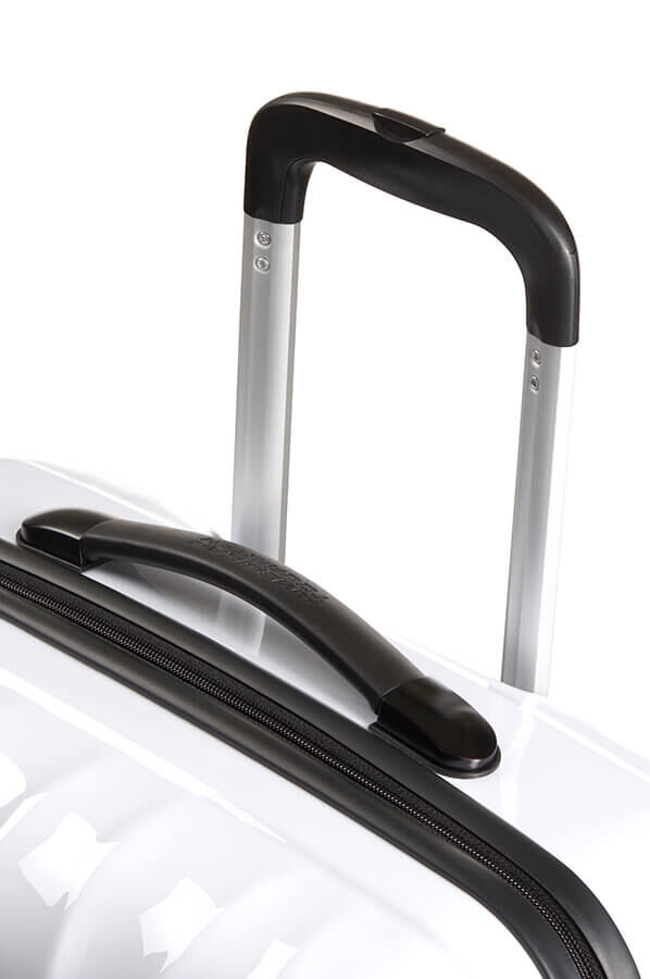 Disney Legends Cabin luggage