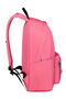 American Tourister UpBeat Backpack Zip  Sun Kissed Coral