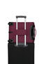 Cloudrider Upright (2 wheels) S/M