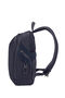 Evoluxe Backpack
